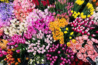 《暗黑4》BETA公测细节：五大职业、支持合作