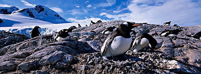 类幸存者新作《Blow Away Survivors》正式版发布